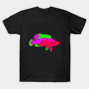 Leopard Grouper Fish T-Shirt